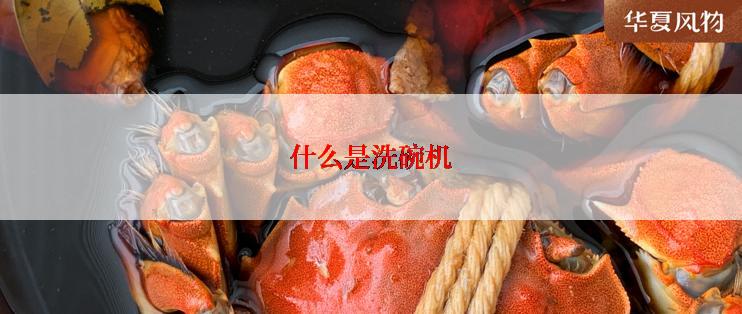 什么是洗碗机