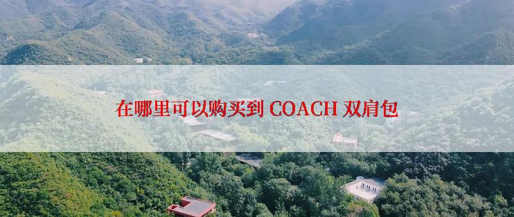 在哪里可以购买到 COACH 双肩包