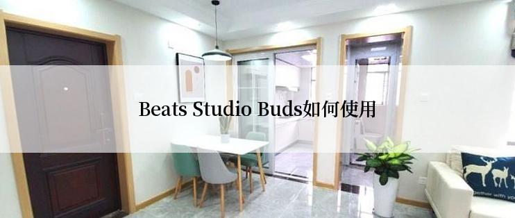 Beats Studio Buds如何使用