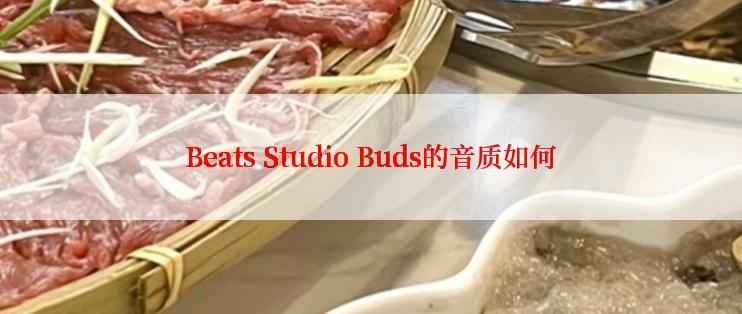 Beats Studio Buds的音质如何