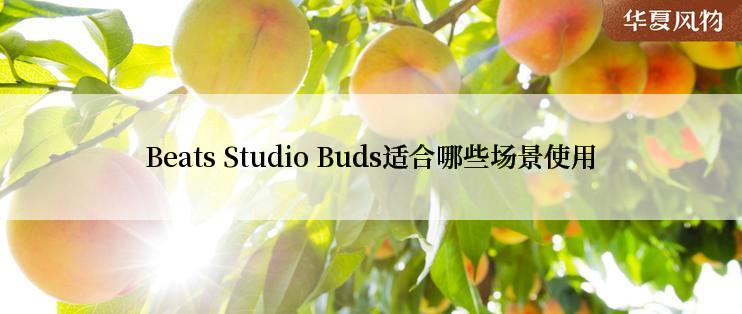 Beats Studio Buds适合哪些场景使用