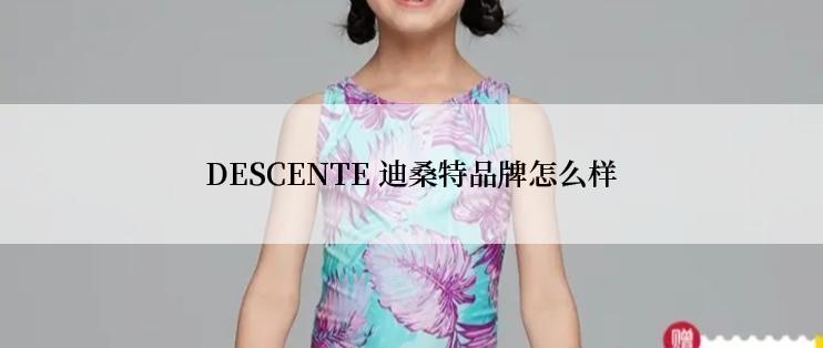 DESCENTE 迪桑特品牌怎么样