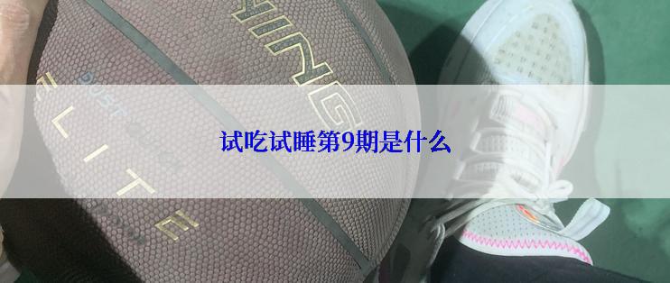 试吃试睡第9期是什么