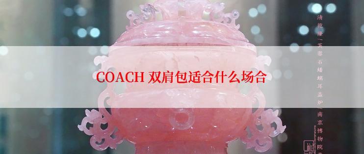 COACH 双肩包适合什么场合