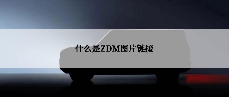 什么是ZDM图片链接