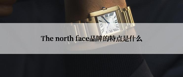 The north face品牌的特点是什么