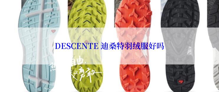 DESCENTE 迪桑特羽绒服好吗