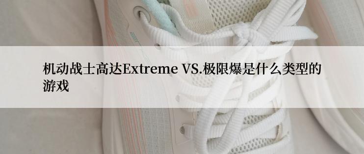 机动战士高达Extreme VS.极限爆是什么类型的游戏