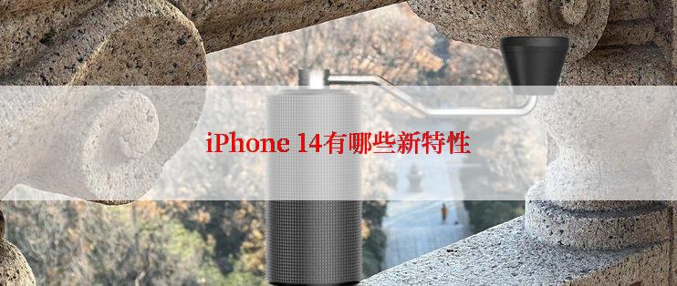 iPhone 14有哪些新特性