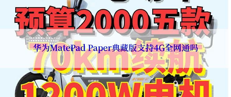 华为MatePad Paper典藏版支持4G全网通吗