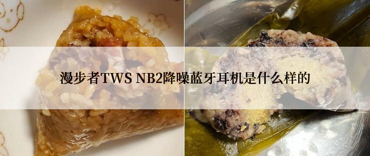 漫步者TWS NB2降噪蓝牙耳机是什么样的