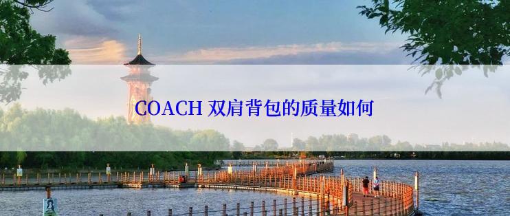 COACH 双肩背包的质量如何