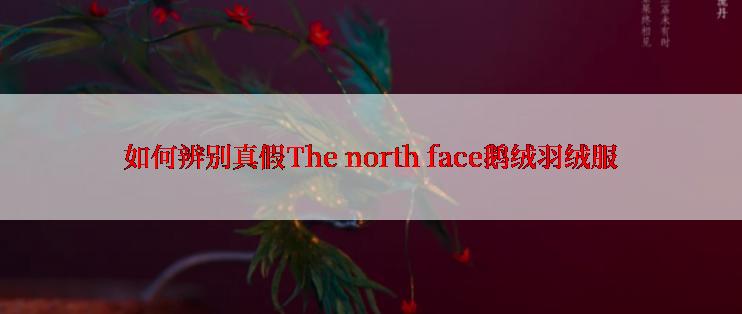 如何辨别真假The north face鹅绒羽绒服