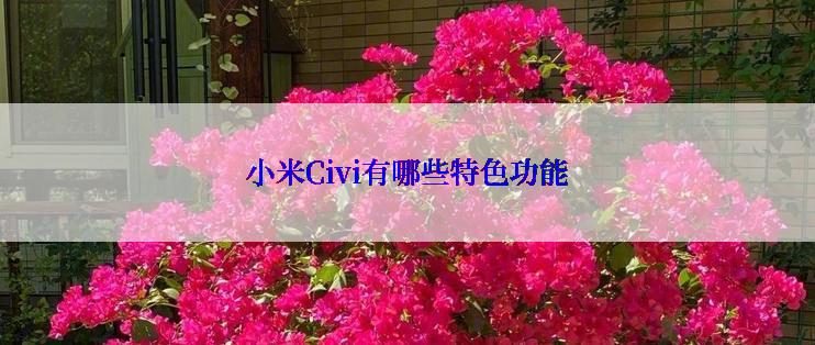 小米Civi有哪些特色功能