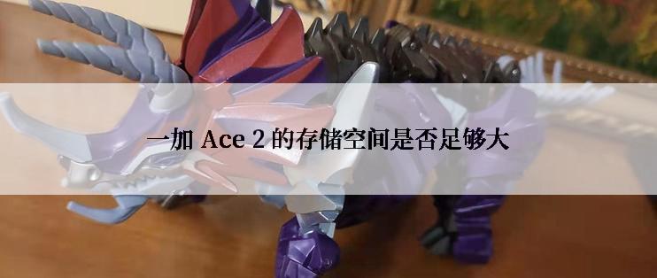 一加 Ace 2 的存储空间是否足够大