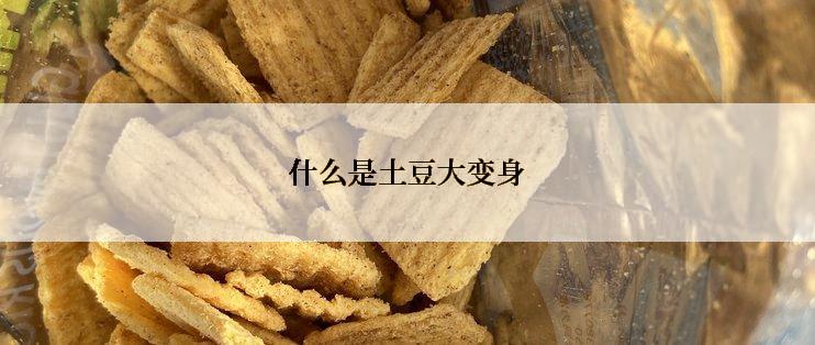 什么是土豆大变身