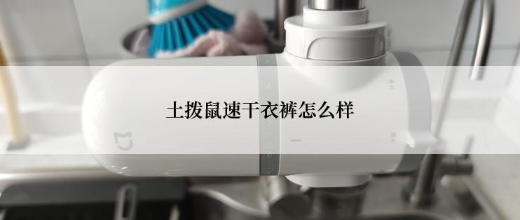 土拨鼠速干衣裤怎么样