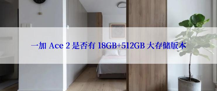 一加 Ace 2 是否有 18GB+512GB 大存储版本