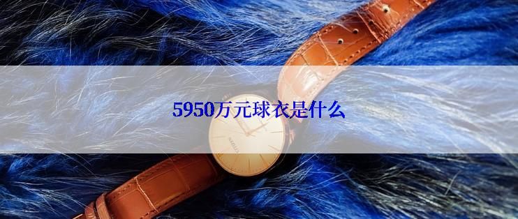 5950万元球衣是什么