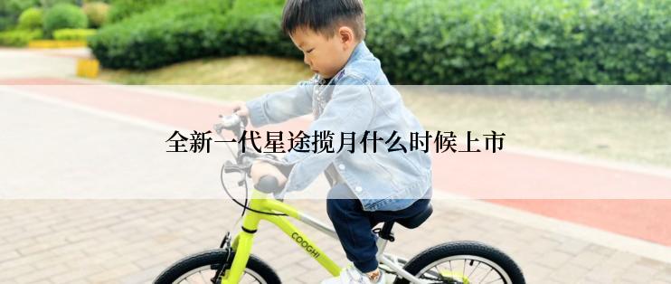 全新一代星途揽月什么时候上市