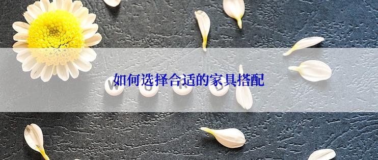 如何选择合适的家具搭配