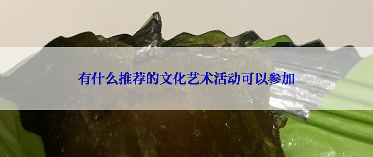 有什么推荐的文化艺术活动可以参加