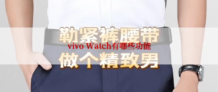 vivo Watch有哪些功能