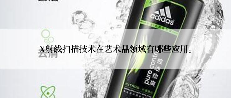 X射线扫描技术在艺术品领域有哪些应用。