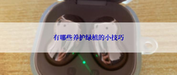 有哪些养护绿植的小技巧