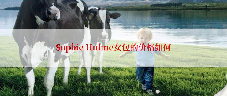 Sophie Hulme女包的价格如何