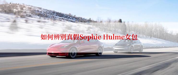 如何辨别真假Sophie Hulme女包