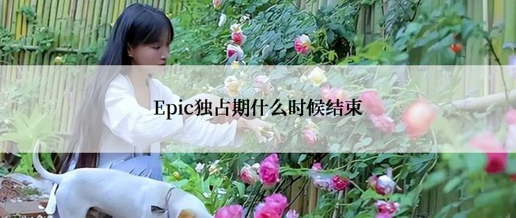 Epic独占期什么时候结束