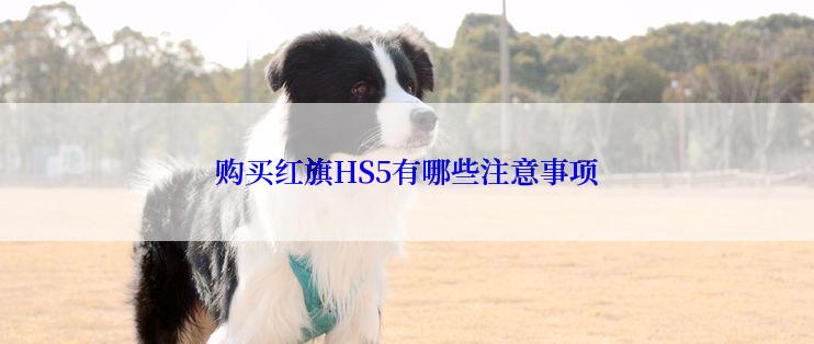 购买红旗HS5有哪些注意事项