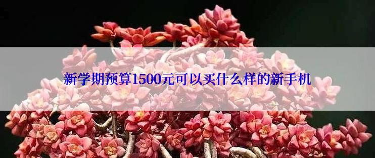 新学期预算1500元可以买什么样的新手机