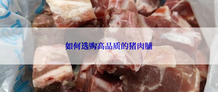 如何选购高品质的猪肉脯