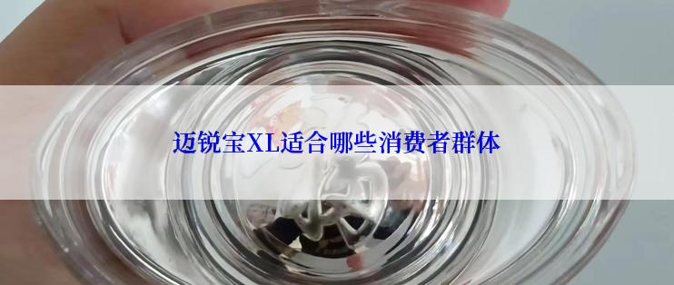 迈锐宝XL适合哪些消费者群体