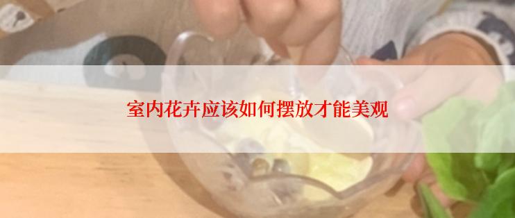 室内花卉应该如何摆放才能美观