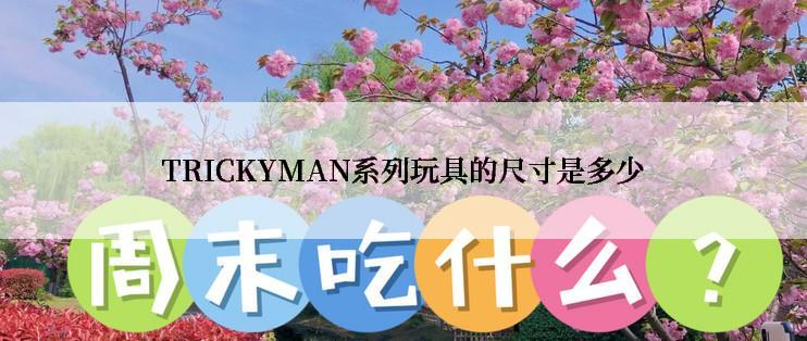 TRICKYMAN系列玩具的尺寸是多少