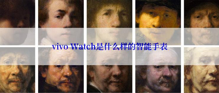 vivo Watch是什么样的智能手表