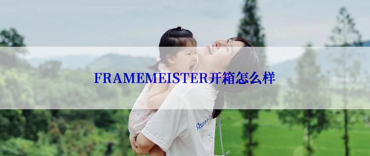 FRAMEMEISTER开箱怎么样