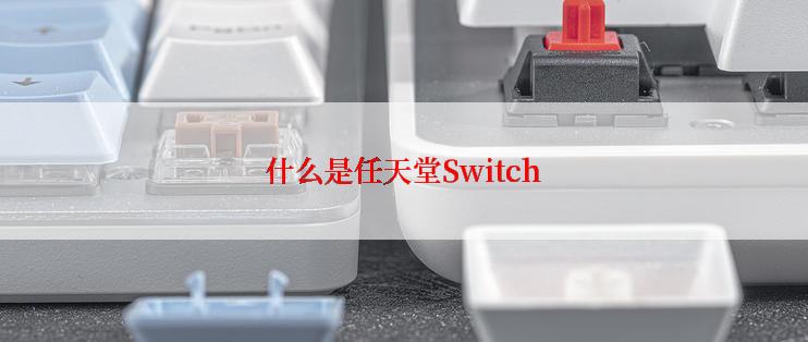 什么是任天堂Switch