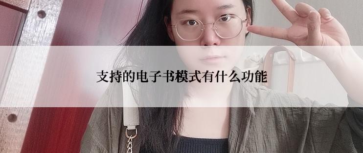 支持的电子书模式有什么功能