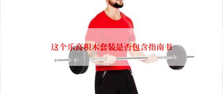 这个乐高积木套装是否包含指南书