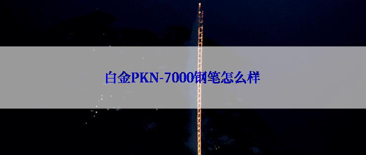 白金PKN-7000钢笔怎么样