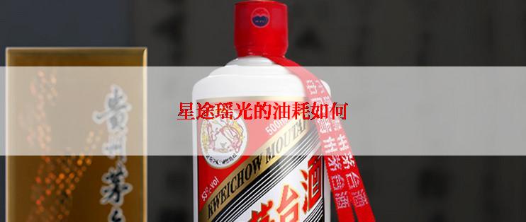 星途瑶光的油耗如何