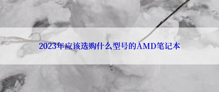 2023年应该选购什么型号的AMD笔记本