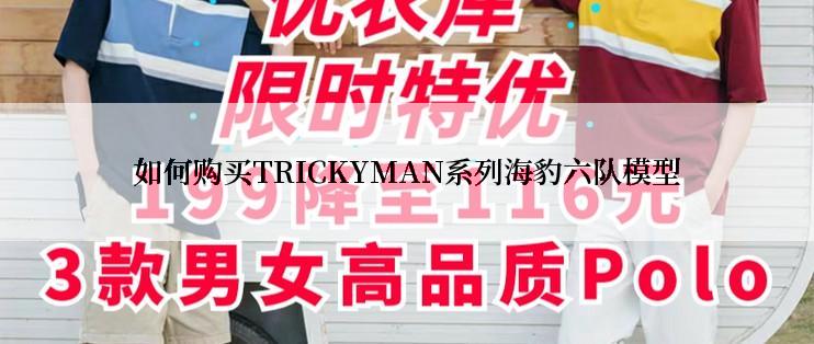 如何购买TRICKYMAN系列海豹六队模型