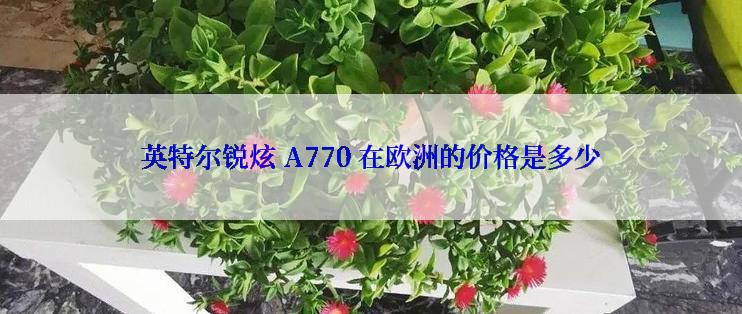 英特尔锐炫 A770 在欧洲的价格是多少