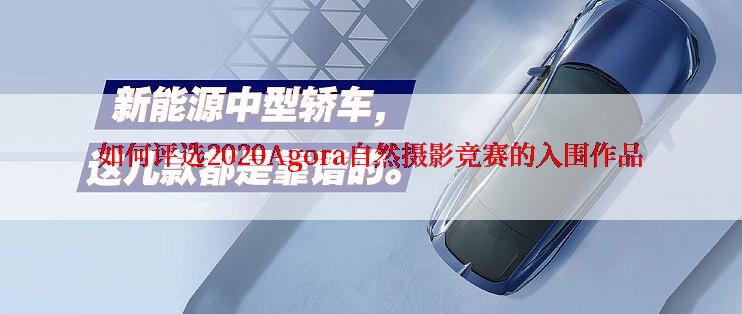 如何评选2020Agora自然摄影竞赛的入围作品