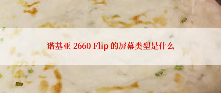 诺基亚 2660 Flip 的屏幕类型是什么